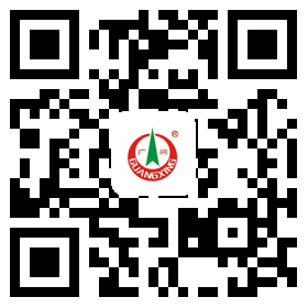 Website qr code