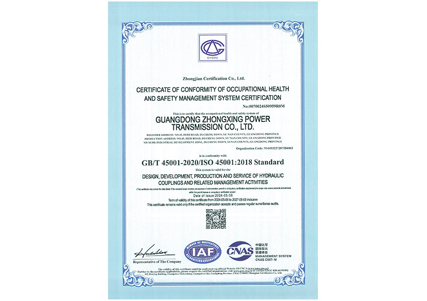 2024年职业健康安全管理体系认证证书（英文）